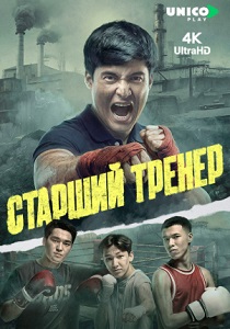 Старший тренер (2026)
