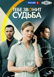 Тебе звонит судьба (2026)